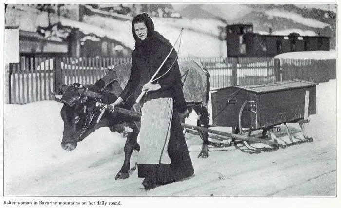 Framed Print : Baker woman in Bavarian mountains on her daily round. Date: 1908 Framed Print : Baker woman in Bavarian mountains on her daily round. Date: 1908
