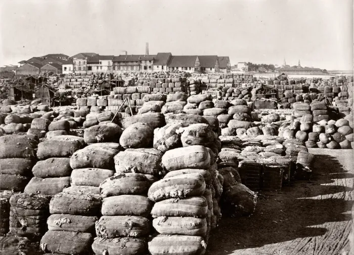 Framed Print : Bales of cotton waiting for export, port, likely India Framed Print : Bales of cotton waiting for export, port, likely India
