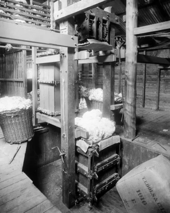 Framed Print : Baling fleeces, Burrawang, Australia Framed Print : Baling fleeces, Burrawang, Australia