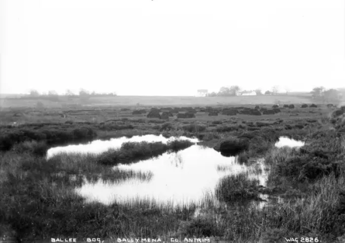 Framed Print : Ballee Bog, Ballymena, Co. Antrim Framed Print : Ballee Bog, Ballymena, Co. Antrim