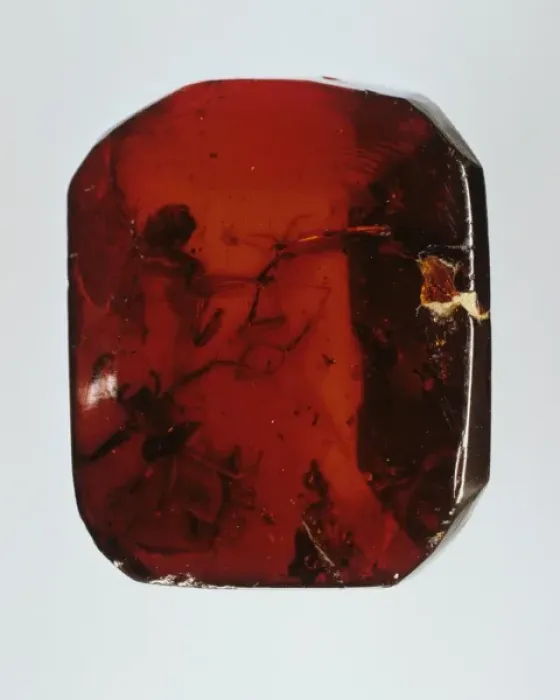 Framed Print : Baltic amber Framed Print : Baltic amber