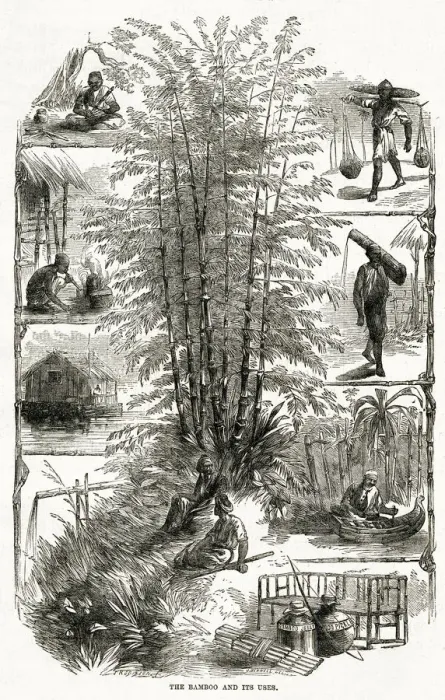 Framed Print : Bamboo and its uses in China 1867 Framed Print : Bamboo and its uses in China 1867