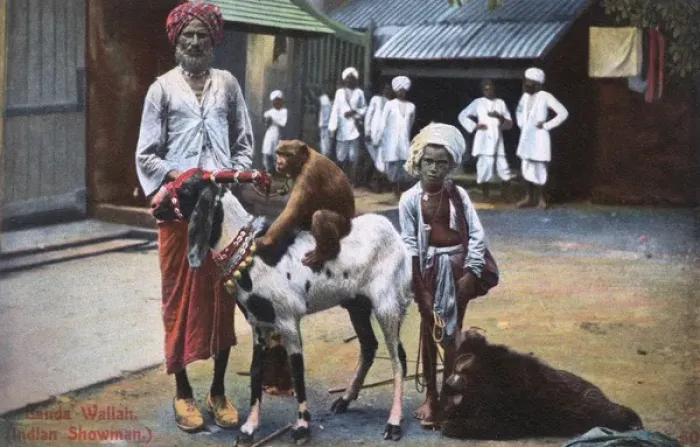 Framed Print : Banda Wallah (showman) with boy and animals, India Framed Print : Banda Wallah (showman) with boy and animals, India