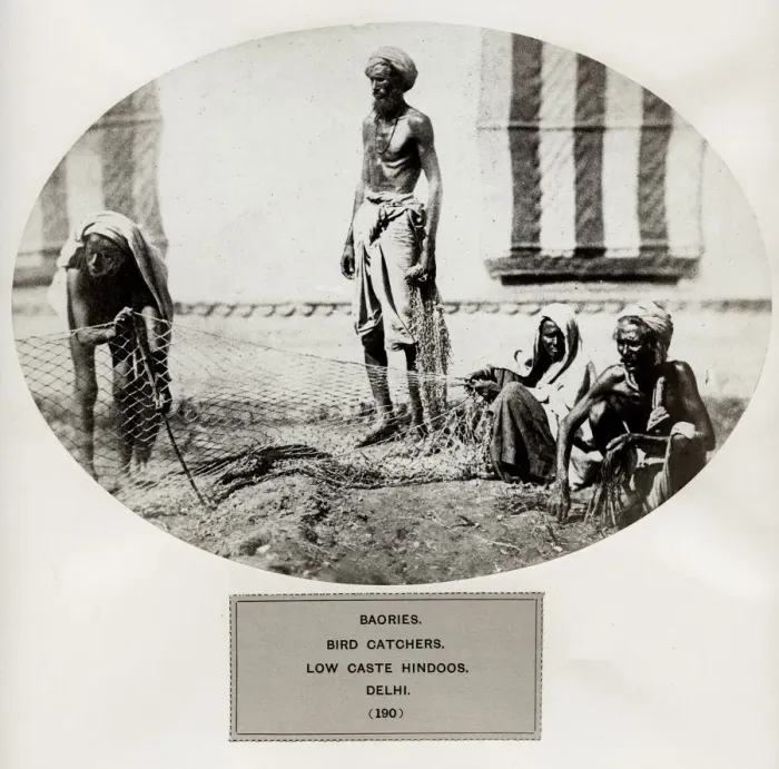 Framed Print : Baories, bird catchers, Lopw caste Hindoos, Delhi. India Framed Print : Baories, bird catchers, Lopw caste Hindoos, Delhi. India