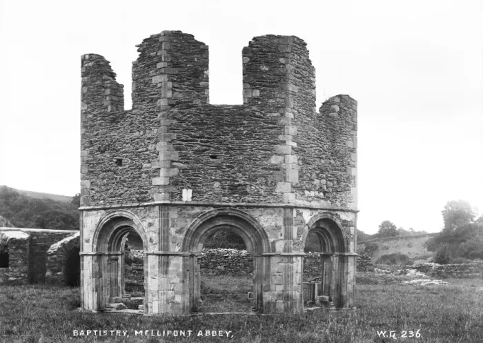 Framed Print : Baptistery, Mellifont Abbey