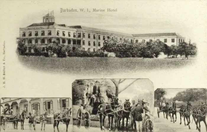Framed Print : Barbados. The West Indies Hotel, Barbados Framed Print : Barbados. The West Indies Hotel, Barbados