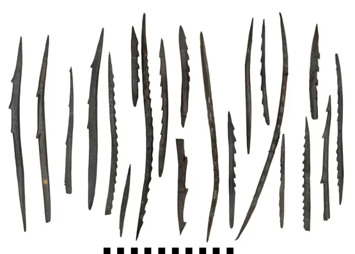 Framed Print : Barbed points from Star Carr Framed Print : Barbed points from Star Carr