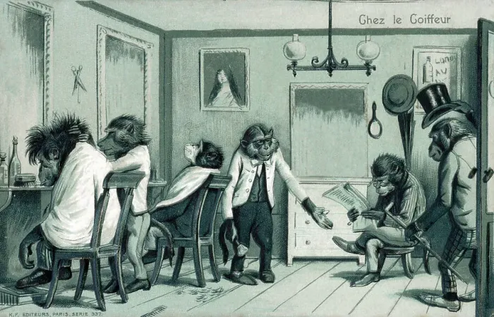 Framed Print : At the Barber - hirsute monkeys popping in for a trim