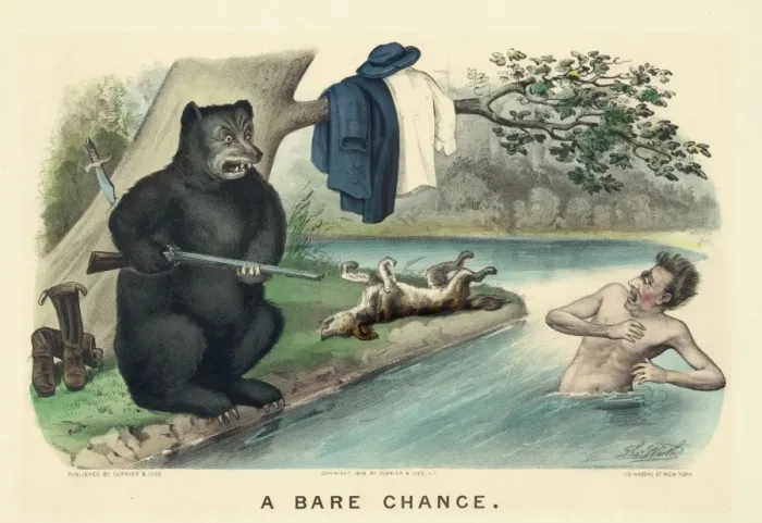 Framed Print : A bare chance Framed Print : A bare chance