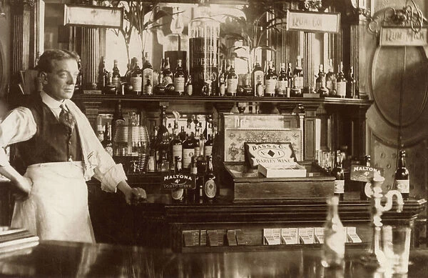Barman standing by well-stocked bar