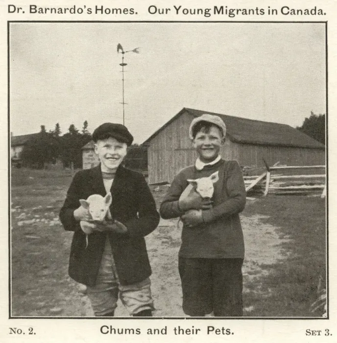 Framed Print : Barnardos Emigrants in Canada - Chums and their Pets Framed Print : Barnardos Emigrants in Canada - Chums and their Pets