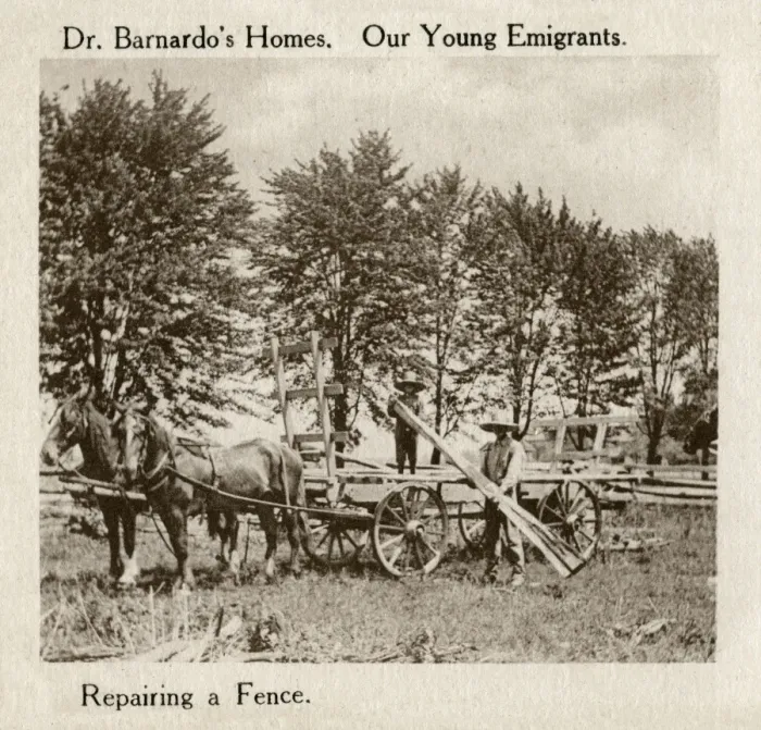 Framed Print : Barnardos Emigrants in Canada - repairing a fence Framed Print : Barnardos Emigrants in Canada - repairing a fence