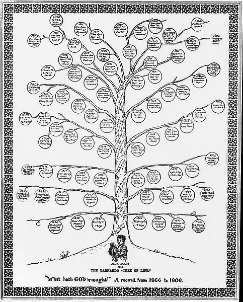 Barnardos Tree of Life 1866-1906