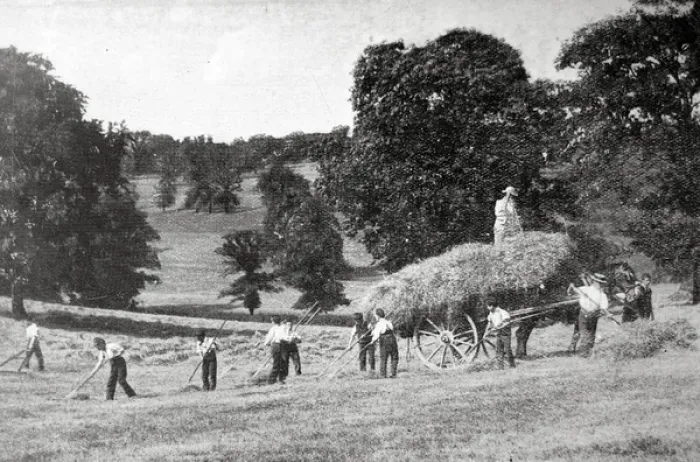 Framed Print : Barnet Industrial School - Hay Harvest Framed Print : Barnet Industrial School - Hay Harvest