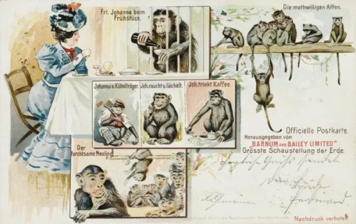 Framed Print : Barnum & Bailey Chimps Framed Print : Barnum & Bailey Chimps