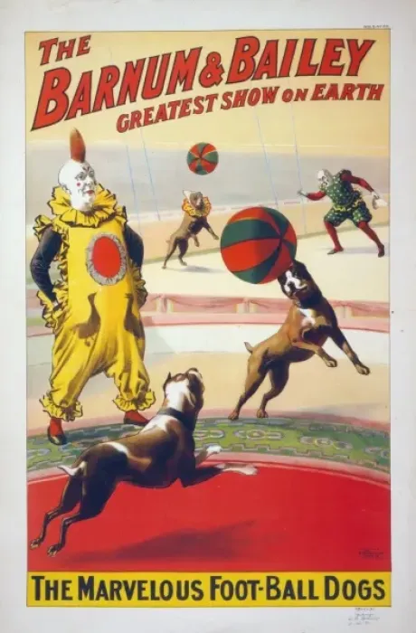 Framed Print : The Barnum & Bailey greatest show on earth. The marvelous f Framed Print : The Barnum & Bailey greatest show on earth. The marvelous f