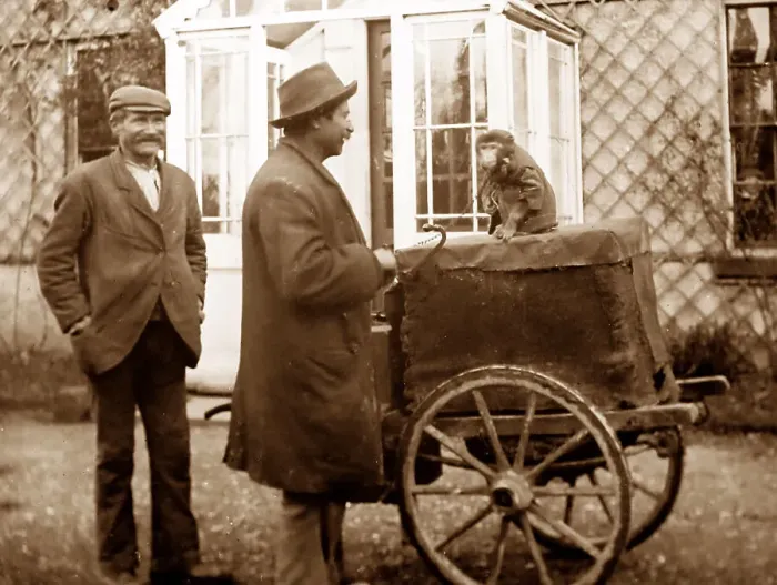 Framed Print : Barrel or street organ and monkey, early 1900s Framed Print : Barrel or street organ and monkey, early 1900s