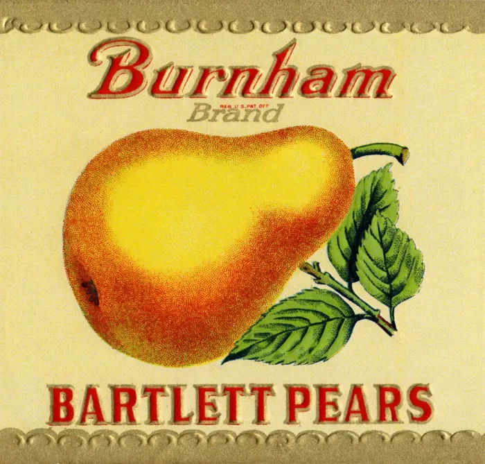 Framed Print : Bartlett Pear Label Framed Print : Bartlett Pear Label