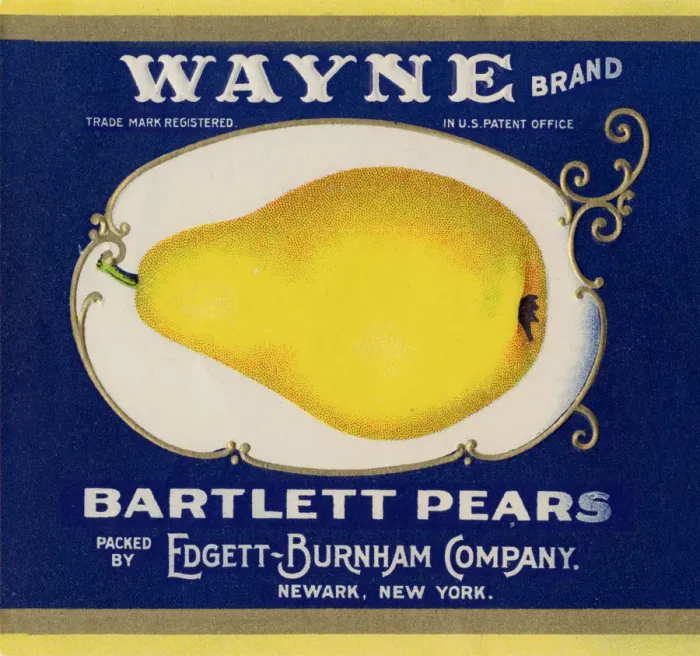 Framed Print : Bartlett Pear Label Framed Print : Bartlett Pear Label