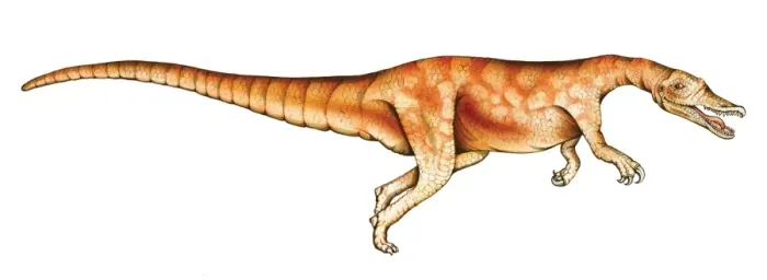Framed Print : Baryonyx. The Baryonyx which lived during the Lower Cretaceous was a bipedal Framed Print : Baryonyx. The Baryonyx which lived during the Lower Cretaceous was a bipedal