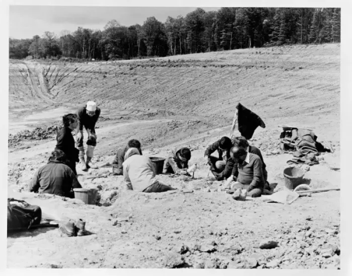 Framed Print : Baryonyx excavation, 1983 Framed Print : Baryonyx excavation, 1983