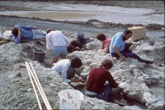 Framed Print : Baryonyx excavations Framed Print : Baryonyx excavations