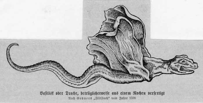 Framed Print : Basilisk. Gesner, the author of the book whence the image comes Framed Print : Basilisk. Gesner, the author of the book whence the image comes
