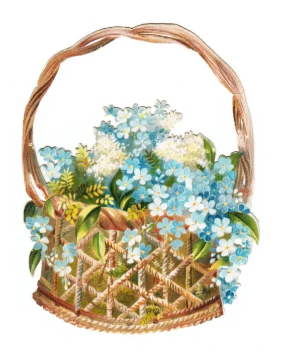 Framed Print : Basket of forgetmenots on a Victorian scrap Framed Print : Basket of forgetmenots on a Victorian scrap