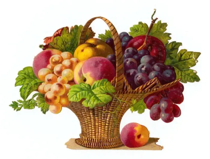 Framed Print : Basket of fruit on a Victorian scrap Framed Print : Basket of fruit on a Victorian scrap