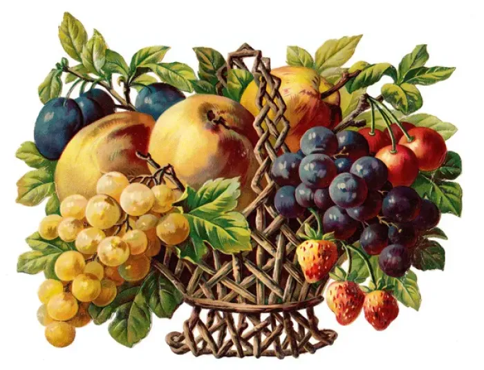 Framed Print : Basket of fruit on a Victorian scrap Framed Print : Basket of fruit on a Victorian scrap