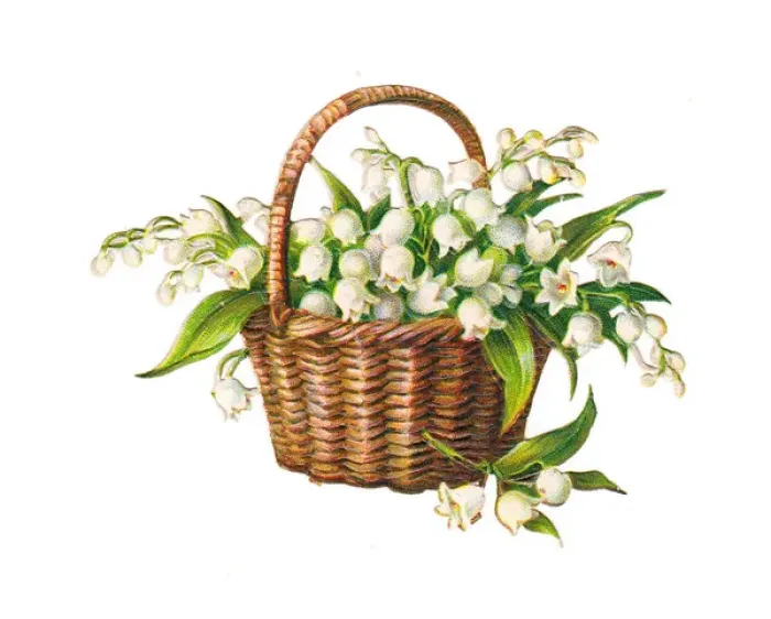 Framed Print : Basket of lilies of the valley on a Victorian scrap Framed Print : Basket of lilies of the valley on a Victorian scrap