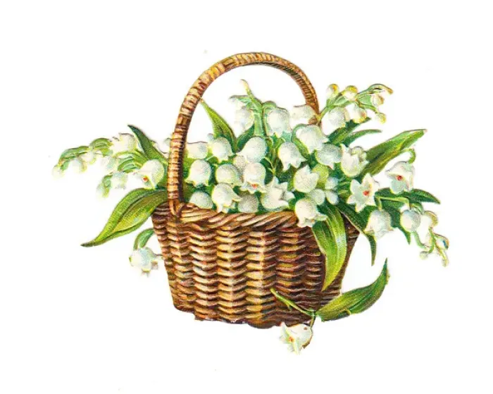 Framed Print : Basket of lilies of the valley on a Victorian scrap Framed Print : Basket of lilies of the valley on a Victorian scrap
