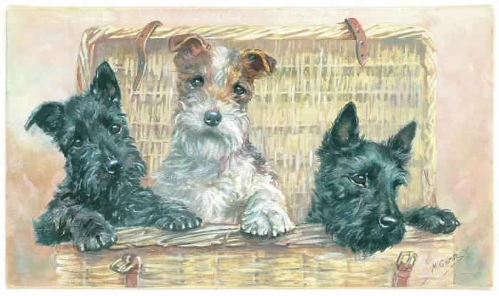 Framed Print : A Basket of Mischief Framed Print : A Basket of Mischief