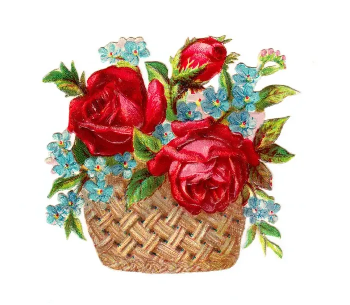 Framed Print : Basket of roses and forgetmenots on a Victorian scrap Framed Print : Basket of roses and forgetmenots on a Victorian scrap