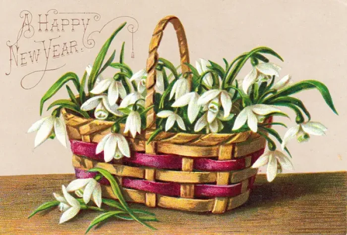 Framed Print : Basket of snowdrops on a New Year card Framed Print : Basket of snowdrops on a New Year card