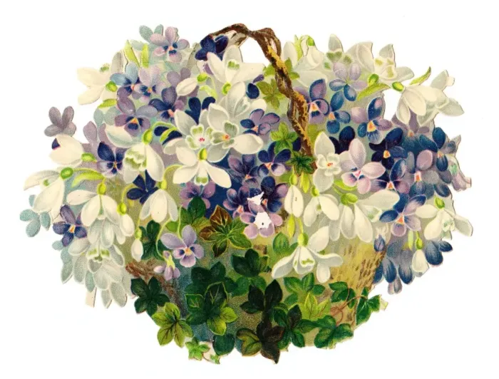 Framed Print : Basket of white and mauve flowers on a Victorian scrap Framed Print : Basket of white and mauve flowers on a Victorian scrap