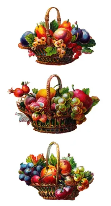 Framed Print : Baskets of fruit on three Victorian scraps Framed Print : Baskets of fruit on three Victorian scraps