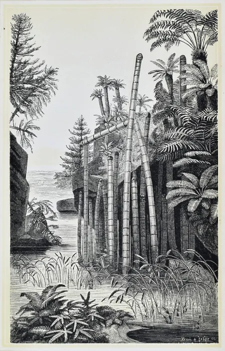 Framed Print : Basle during the Keuper Period (Middle to Upper Triassic) Framed Print : Basle during the Keuper Period (Middle to Upper Triassic)