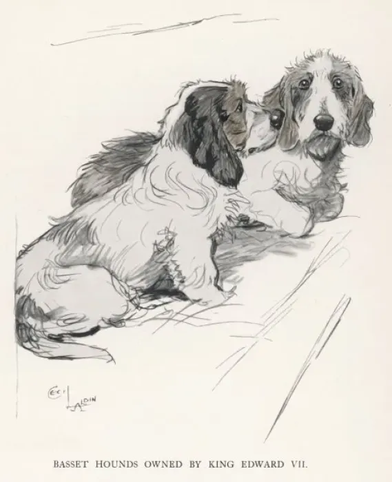 Framed Print : Basset Hounds Edward VII Framed Print : Basset Hounds Edward VII