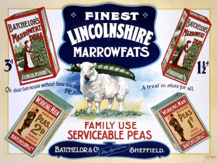 Framed Print : Batchelor & Co advert Framed Print : Batchelor & Co advert