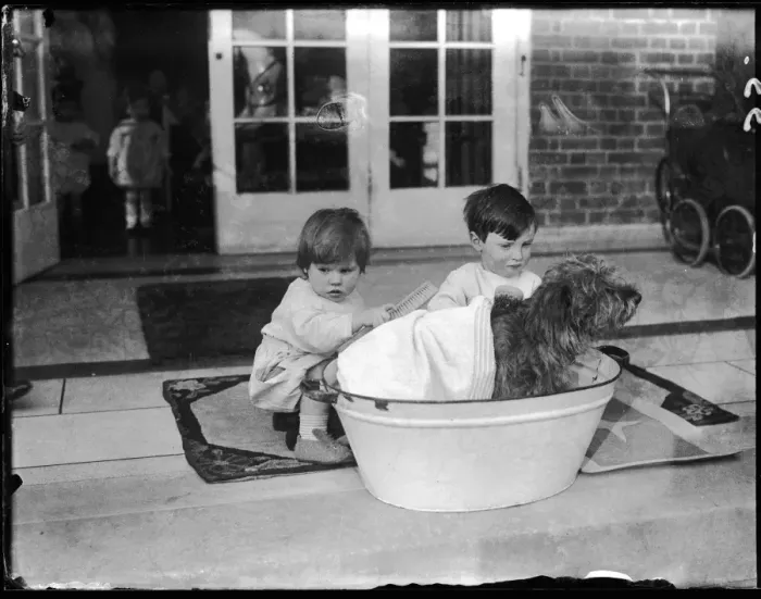 Framed Print : Bathing the Dog Framed Print : Bathing the Dog