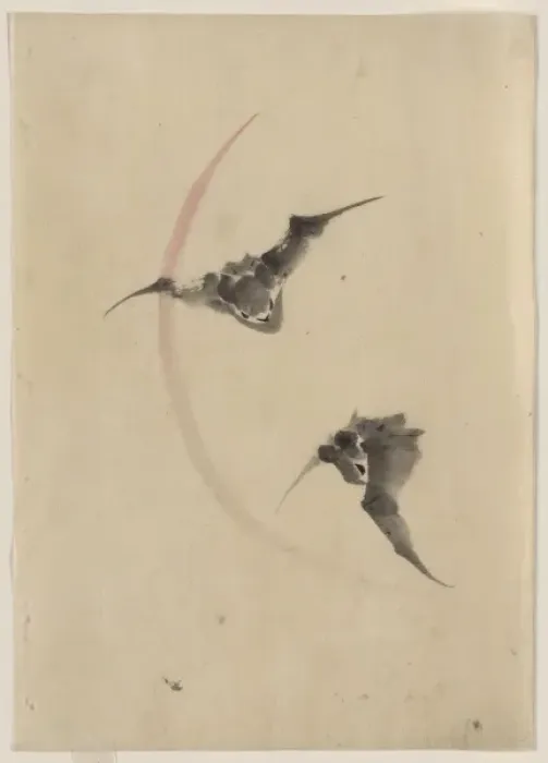 Framed Print : Two bats flying Framed Print : Two bats flying