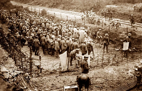 Battle of the Ancre, Prisoners taken in Beaumont