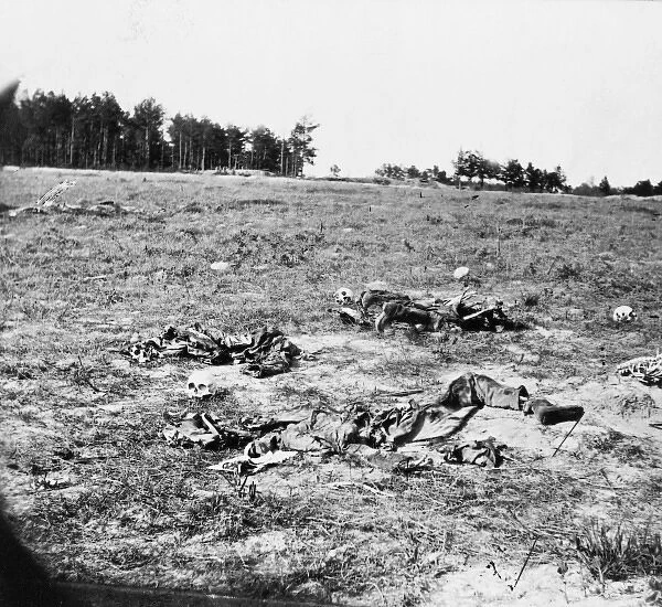 Battle-field of Gaines Mill, Va