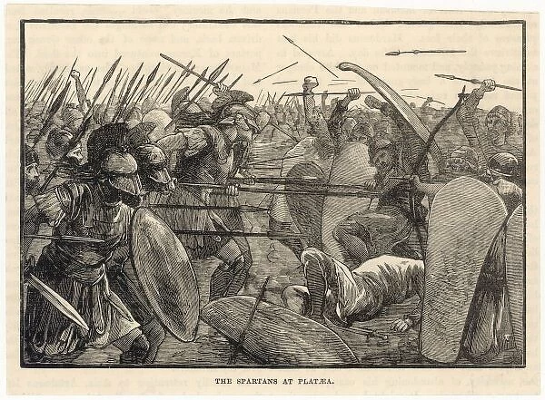 Battle of Plataea. BATTLE OF PLATAEA The Greeks