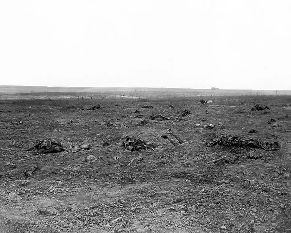Battlefield near Guillemont, Western Front, France, WW1