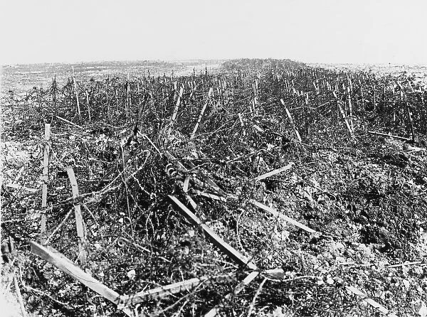 Battles of Arras 1917