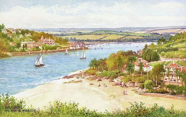 Mill Bay and Harbour, Salcombe, Devon