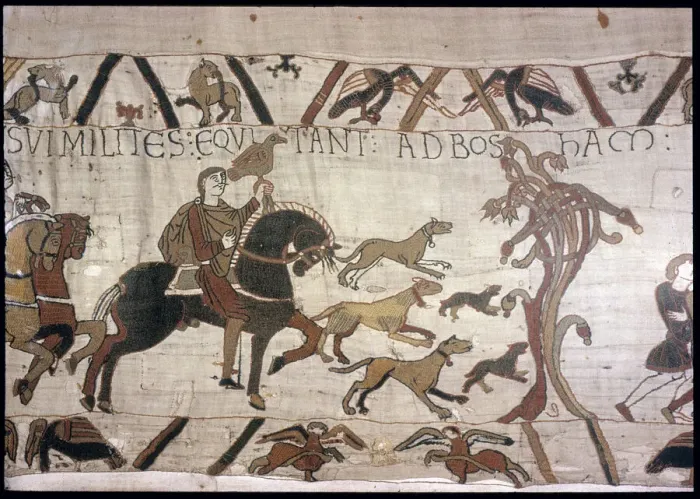 Framed Print : The Bayeux Tapestry - Norman conquest of England Framed Print : The Bayeux Tapestry - Norman conquest of England