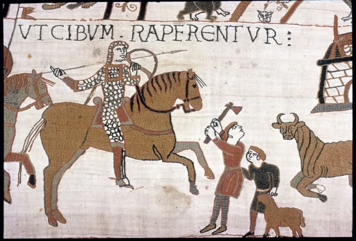 Framed Print : The Bayeux Tapestry - Norman conquest of England Framed Print : The Bayeux Tapestry - Norman conquest of England